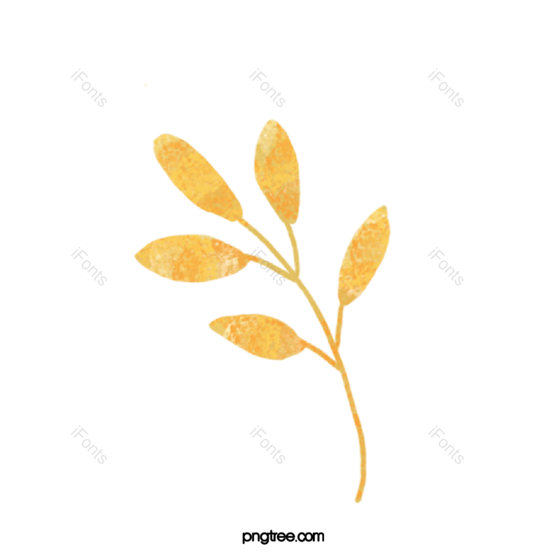 叶子图片,树叶元素,卡通树叶PNG,树叶边框免抠素材